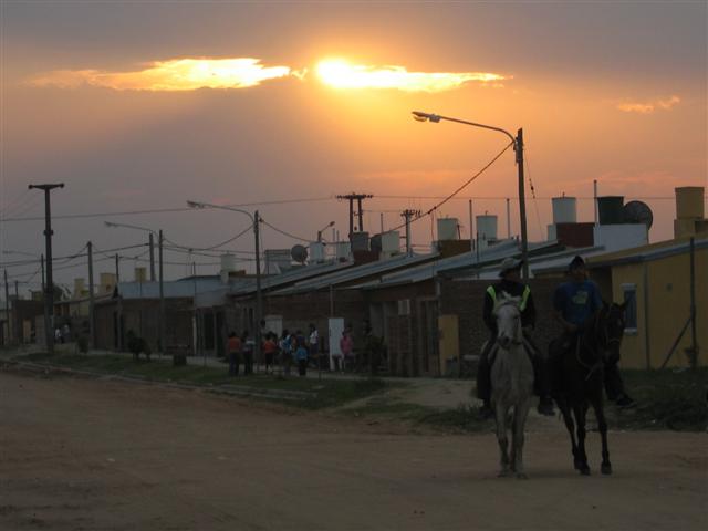 Horses in the Sunset