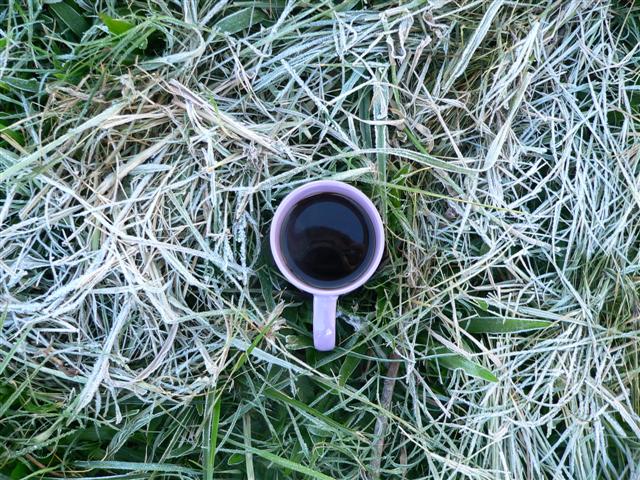 Cold Coffee