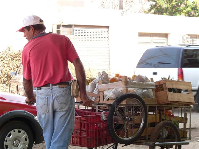 Street Fruit Vender