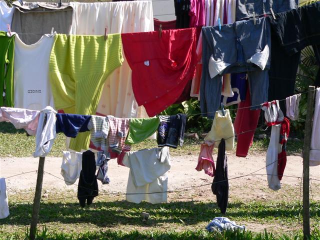 Washing Drying on Line