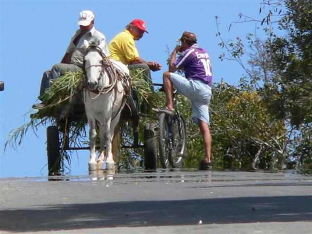 Horse and cart