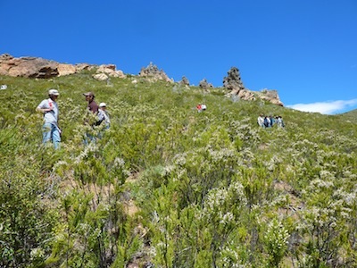 Heading back down the mountain