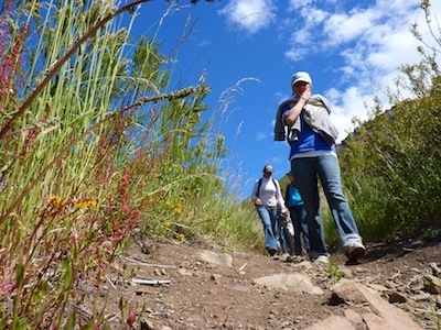 The trail back down