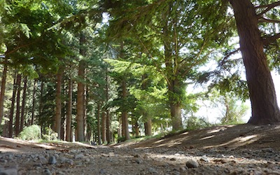 This pathway was frequented by children on bicycles, motorbikes, and cars as we walked it.