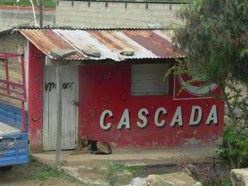 Kiosk