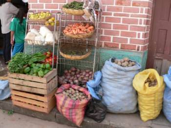fruit and vegetables