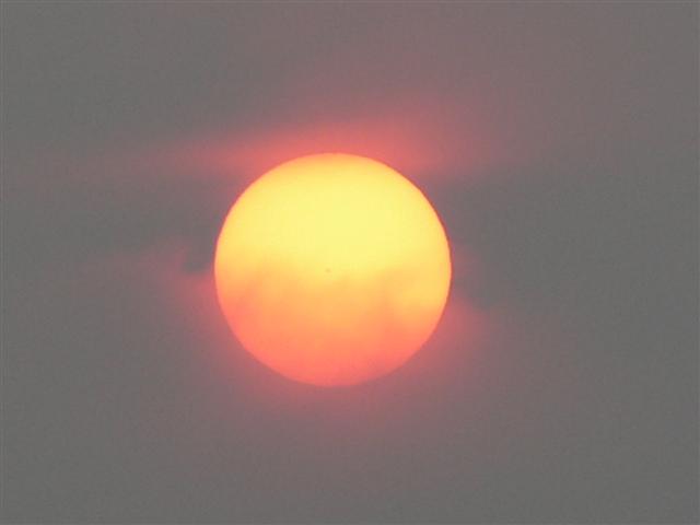 Morning sun
