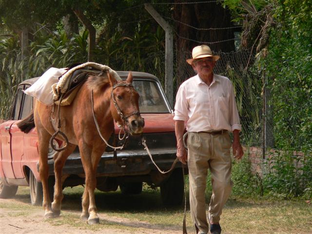 Man leading horse