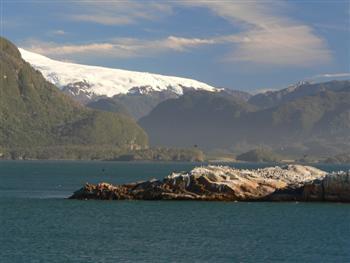 island of penguins