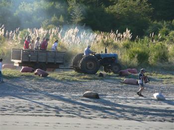 a tractor with a trailer of men