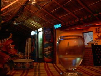 enjoying dinner