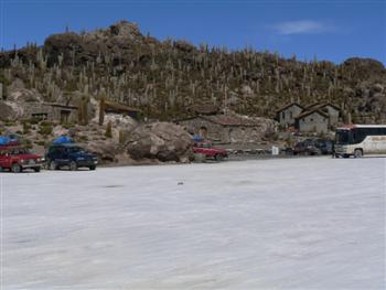 fish island and cactus