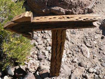 cactus wood sign