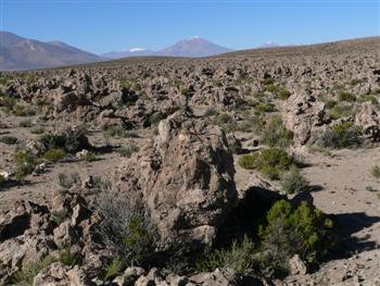 rocks everywhere