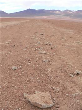 rocky desert surface