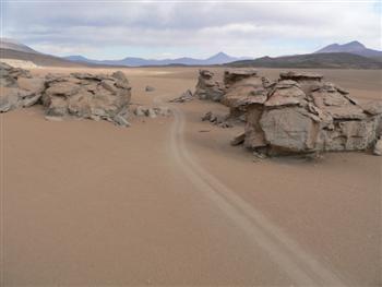 rock formations in the sand