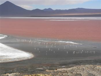 red coloured lake