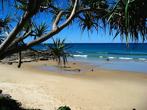 The beach