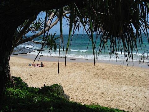 The beach in the new year