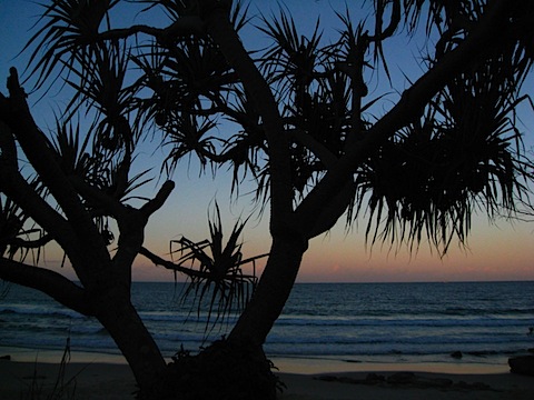 Evening by the Beach