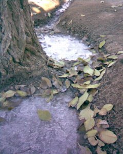 frozen water