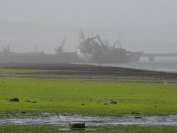 The boats from a distance