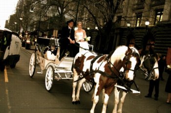 Horse and carriage