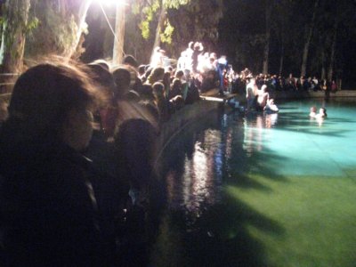 Midnight baptism in the pool