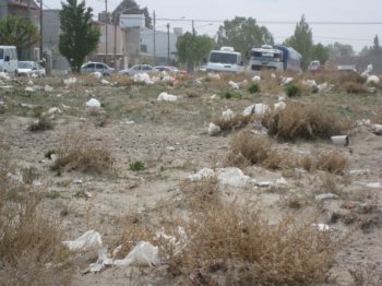 Fields full of plastic bags
