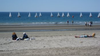 Regatta