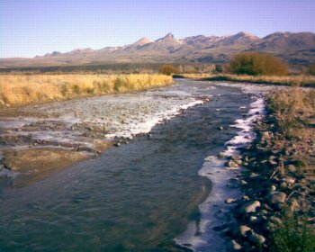 The frozen edges of the river