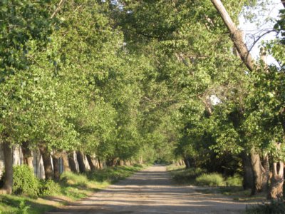 Road to YWAM Chile