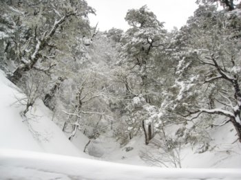Snowy border crossing