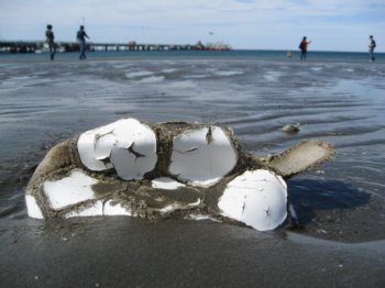 Old soccerball in the sand
