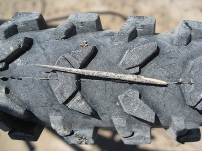 Big thorns and little tyres