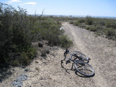 Looking toward town