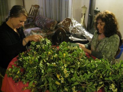 Wedding Preparations