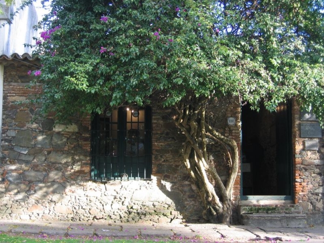 travel-uruguay-colonia_15