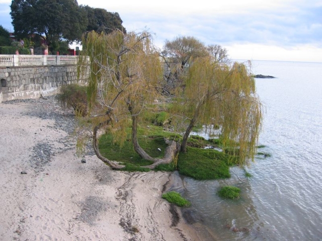 travel-uruguay-colonia_27