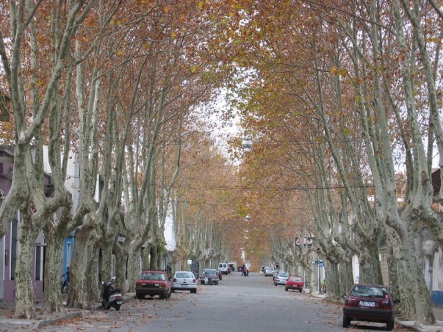 travel-uruguay-colonia_7