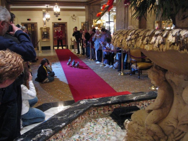 worldtrip-14d-usa-memphis_8
