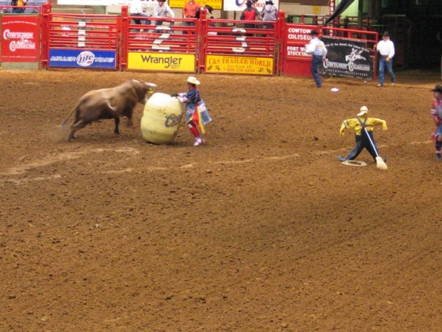 worldtrip-14g-usa-dallas-rodeo_11