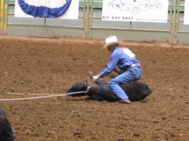 worldtrip-14g-usa-dallas-rodeo_13