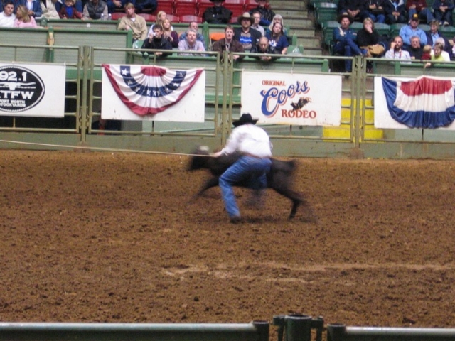 worldtrip-14g-usa-dallas-rodeo_14