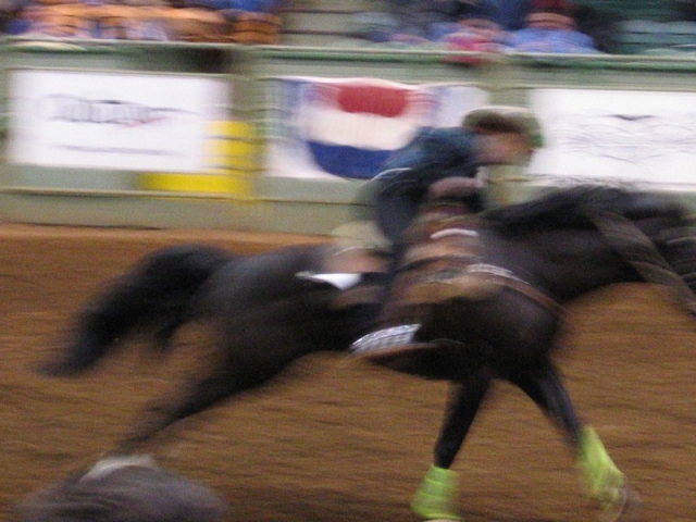 worldtrip-14g-usa-dallas-rodeo_22