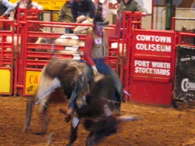 worldtrip-14g-usa-dallas-rodeo_28