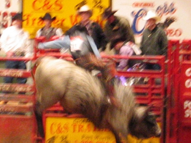 worldtrip-14g-usa-dallas-rodeo_29