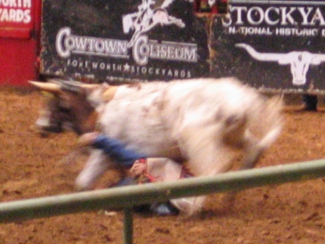 worldtrip-14g-usa-dallas-rodeo_31