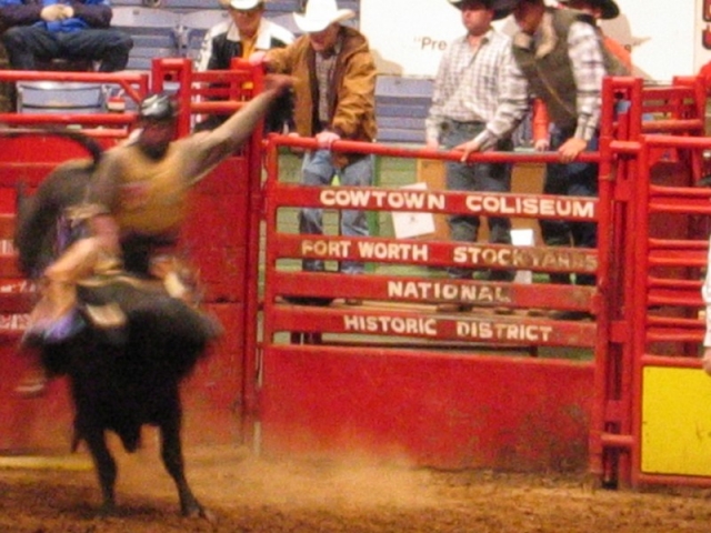 worldtrip-14g-usa-dallas-rodeo_5