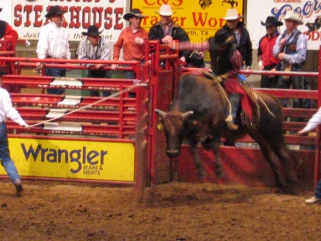 worldtrip-14g-usa-dallas-rodeo_8